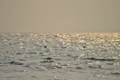 Cover image showing the sea from Kizhunna beach